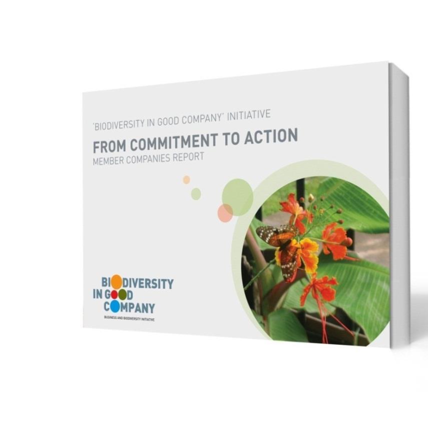The Roots of the Business and Biodiversity Initiative 'Biodiversity in Good Company Launched in 2008 as a pioneer project initiated by the Federal Environment Ministry Established as an international