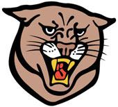 Lower Merion School District Penn Valley Elementary School Panthers Handbook Dr.