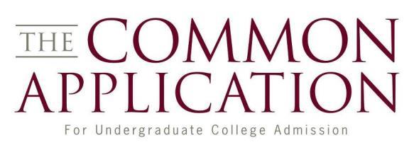 Common Application Essay Options A range of academic interests, personal perspectives, and life experiences adds much to the educational mix.