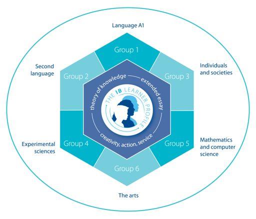 What does the Diploma Programme curriculum contain The curriculum contains six subject groups and a core of three parts. IB Diploma Groups Students study concurrently!