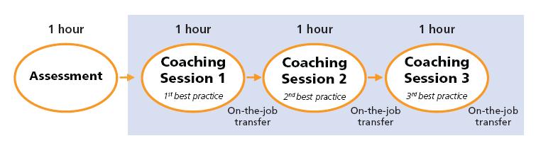 Coaching as a Formal Program Structured coaching programs for