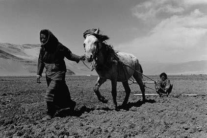 Sisters Sowing Seeds in Spring (Tibet), 2004 Texts by João Miguel Barros and Liu Dan João Miguel Barros was born in 1958. He is a lawyer by profession, in Lisbon and Macau.