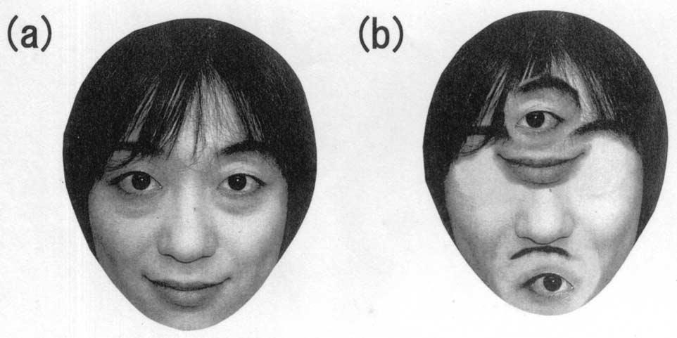 224 M. Myowa-Yamakoshi, M. Tomonaga / Infant Behavior & Development 24 (2001) 215 227 Fig. 6.