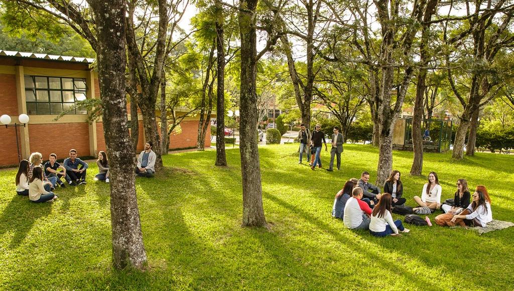The University of Passo Fundo is a community Institution of Higher Education that was founded in 1968 to meet the needs