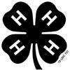 4-H Enrollment Guidelines and Definitions Commonly Used Terms 4-H Youth: Any youth taking part in a program as a result of action by Extension personnel (professional, paraprofessional or volunteer).