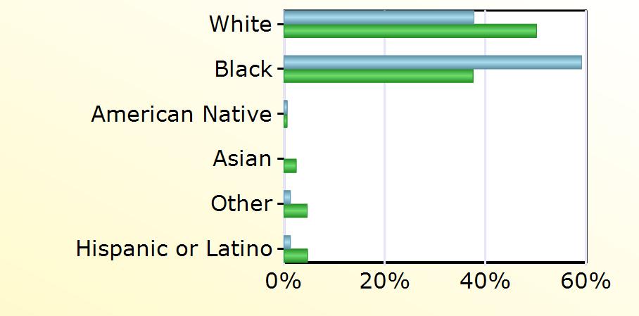 Virginia White 60 13,873 Black 94 10,389 American Native 1 164 Asian 669 Other 2 1,271 Hispanic or Latino 2 1,286 Age