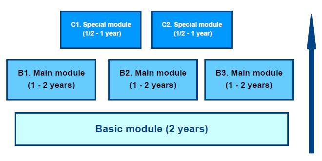 Modularisation Rational: to improve attractiveness of apprenticeship training Basic module: knowledge & skills for basic activities of respective occupation Main Module: knowledge & skills for