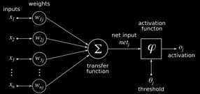 A perceptron follows the feed-forward model, meaning inputs are