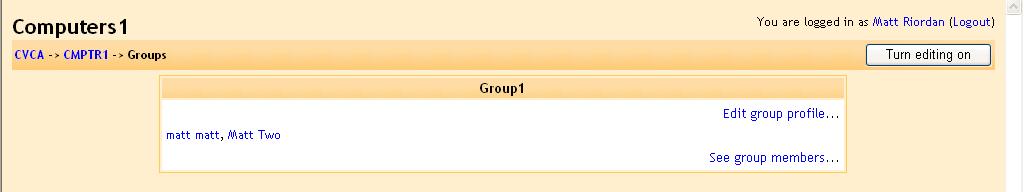 If you prefer, you may add all of the students to a group using the Randomly assign all to groups button.