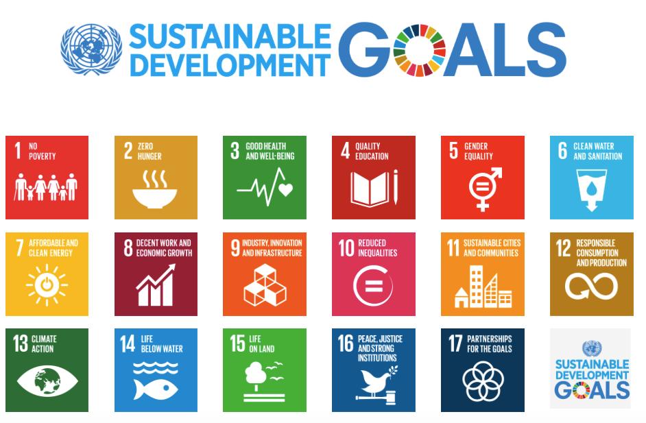 The SDGs Objectives Almost at the expiration of the MDGs, 193 countries agreed upon the new Sustainable Development Goals in September 2015, intended to be the step further to reach the overall