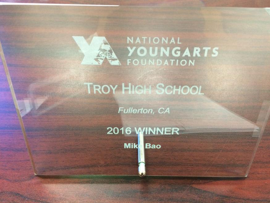 This week the award arrived in the mail at Troy for one of our students. It is a very nice award, made of engraved glass and I was careful when I unpackaged it from the box.