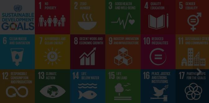 Education from MDGs to SDGs Talal El Hourani, UNESCO Institute for Statistics The impact