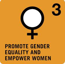 Education in the MDGs PROMOTE GENDER EQUALITY AND EMPOWER WOMEN Target 3.