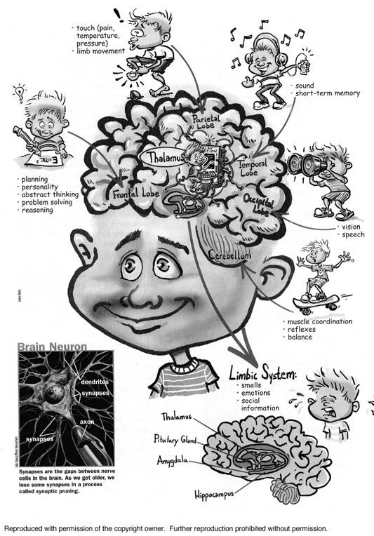 What s Going On in Your Brain? Created by Expeditionary Learning, on behalf of Public Consulting Group, Inc.