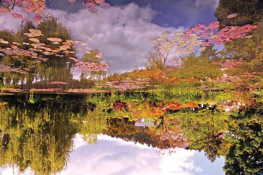 Pond at Giverny, France, May
