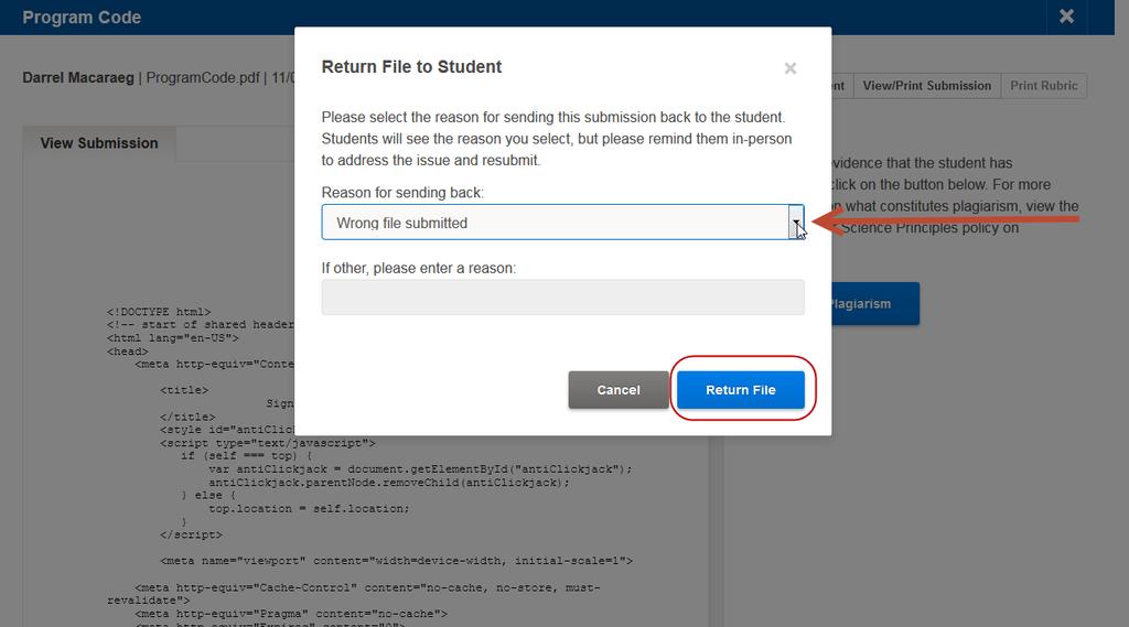Select the reasn yu are returning the file t the student and click the Return File buttn.