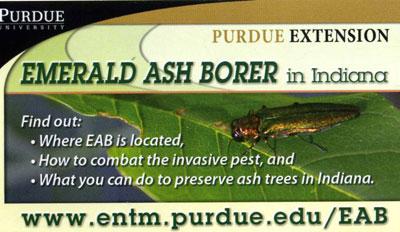 This pamphlet informs the reader on the history of EAB, the signs and symptoms of EAB, and what to do to