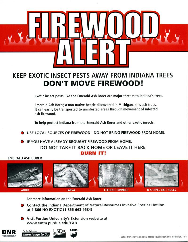 This poster explains why transporting firewood from