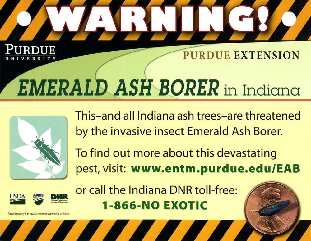 This tree tag can be placed on an ash tree to inform passersby about EAB.