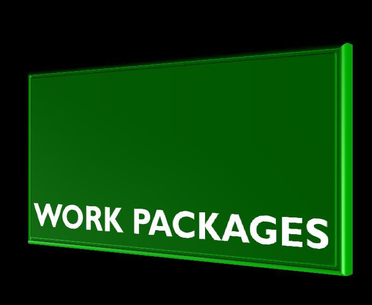 EGREEN Work packages WP1: Networking WP2: Scoping and training needs
