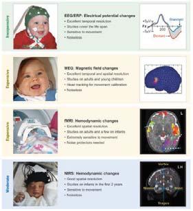 Studying the infant brain How does the language network develop?