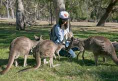 for its beautiful beaches, amazing food, incredible wildlife and world-famous festivals. SAFE AND WELCOMING Adelaide is a safe, friendly and relaxed city so you can explore it with confidence.