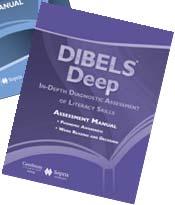 DIBELS Survey