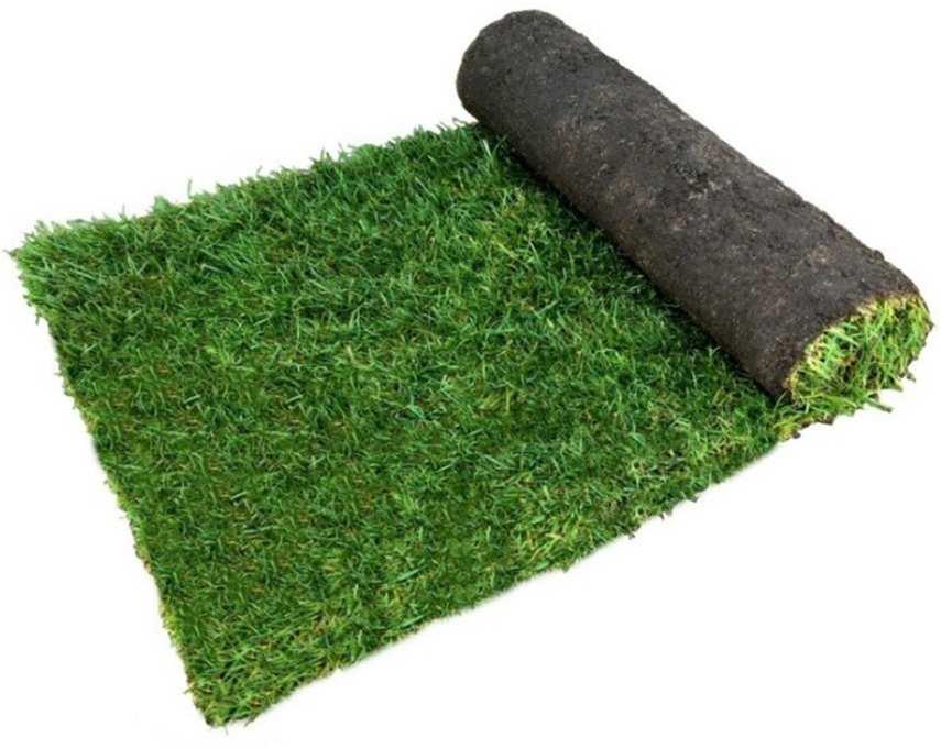 How much will the turf cost? A. $1,417 B. $1,432 C. $1,732 D. $1,333 2.