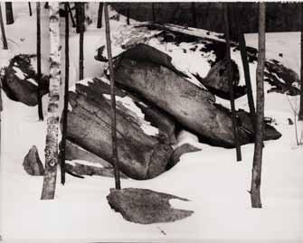 13 Stones and Birch in snow