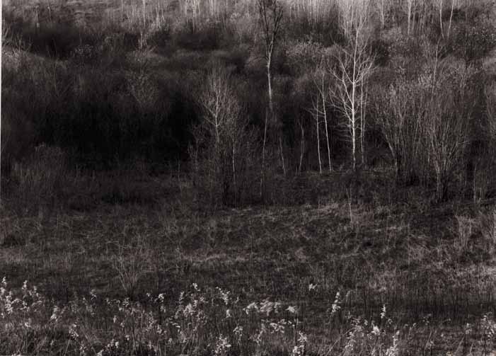 2 Early Spring Meadow Adirondack Park, NY, 1968 9.5 x 12.
