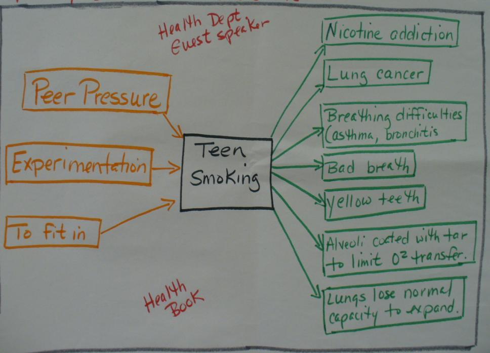 Health Department Guest Speaker www.teensmoking.