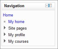 This area is not fully developed so we will skip this for now, except for one item. At the bottom of the Navigation block, there is a link to My Courses.