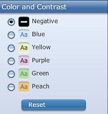 The student can select from six different presentation formats.