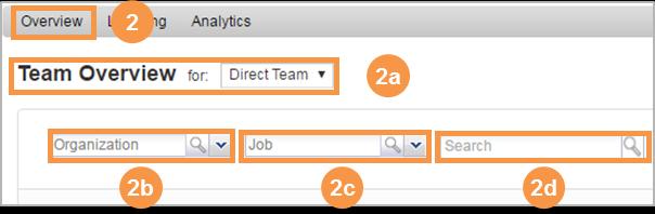 Team Overview: In the drop-down menu, Direct Team is available.