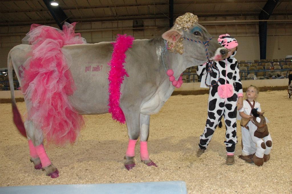 state showmanship contest. Saturday activities included dairy skill-a-thon and show classes by breed.