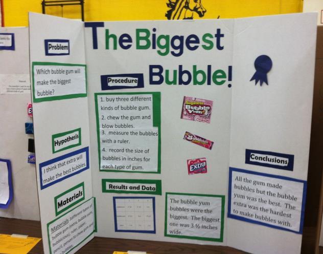 How does it look? Create a display board so your findings can be shown at the science fair.