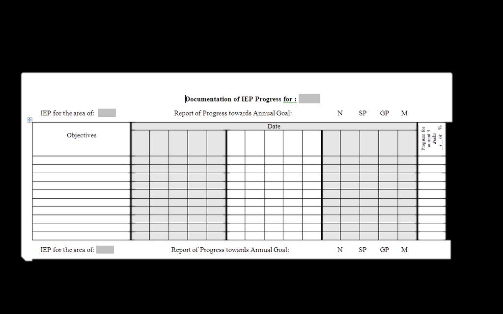 IEP DOCUMENTATION FORM ~THIS FORM CAN BE