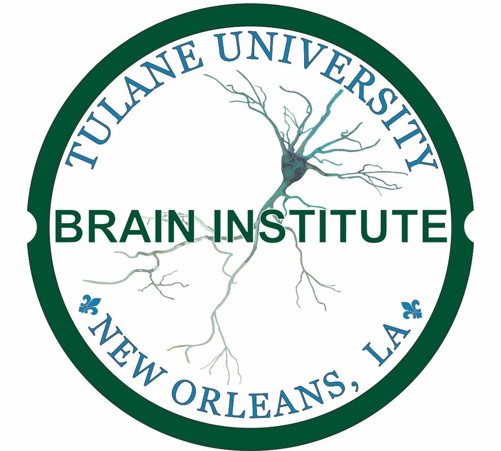 Launch of the Brain Institute