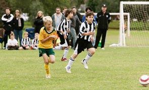 Vision for Regional Sports Areas The Adelaide Park Lands Management Strategy identifies a series of regional sports areas