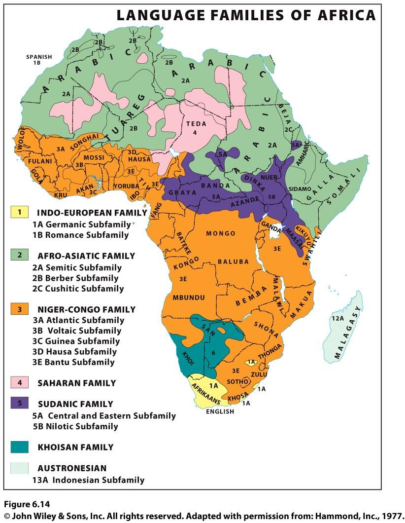 Why Are Languages Distributed the Languages of Subsaharan Africa Niger-Congo language family