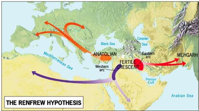 Renfrew Hypothesis: Proto-Indo-European began in the Fertile Crescent, and then: From Anatolia diffused Europe s languages From the Western Arc of