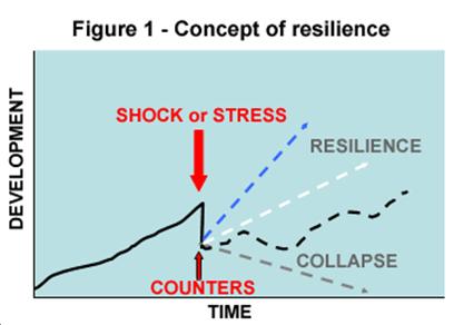 Resilience If uncertainties about climate change are large, one can still know how the resilience of social-ecological systems can be enhanced Resilience is the capacity of a system to tolerate