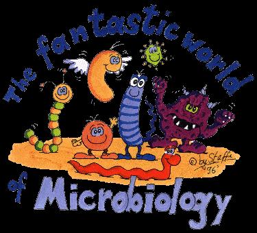 Fall 2013 Introductory Microbiology MICR 200 Syllabus Lecture: 3:00-4:15 M & W, WG RM 378, Lab: WG RM 246 Instructor: S. Holt, Ph.D., WG 268, Hrs: M&W =4:25-5:15, T =3:50-5:30; 298-1484, sm-holt@wiu.