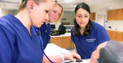 PROGRAM REQUIREMENTS NURSING Professional Certificate in Practical Nursing Courses to complete with a grade B or higher^. Courses to complete with a grade of C or higher^^.