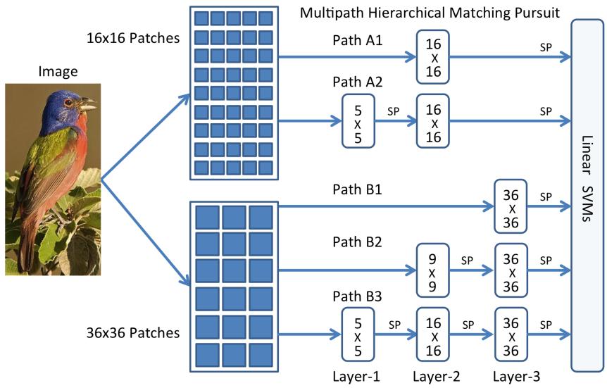 Multipath Sparse Coding Using Hierarchical Matching