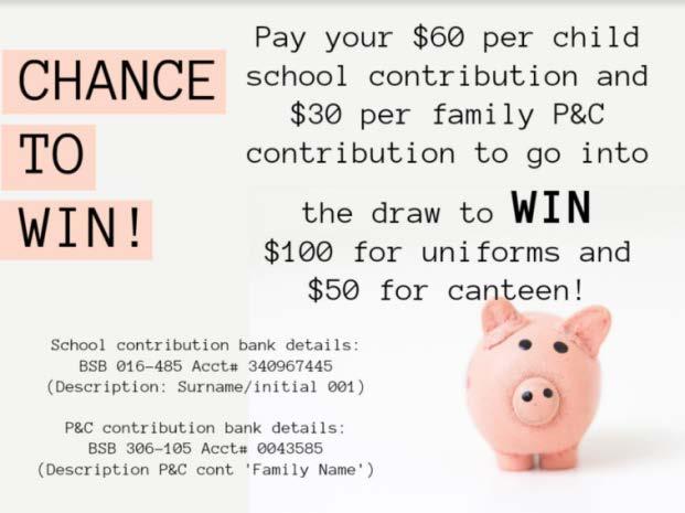 Have you ever wondered what happens with your $30 P&C contribution?