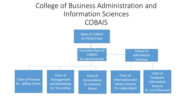 Figure V.1 COBAIS organizational chart The Collective Bargaining Agreement governs the selection and duties of department chairs.