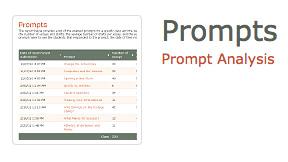 Prompt Reports 1.