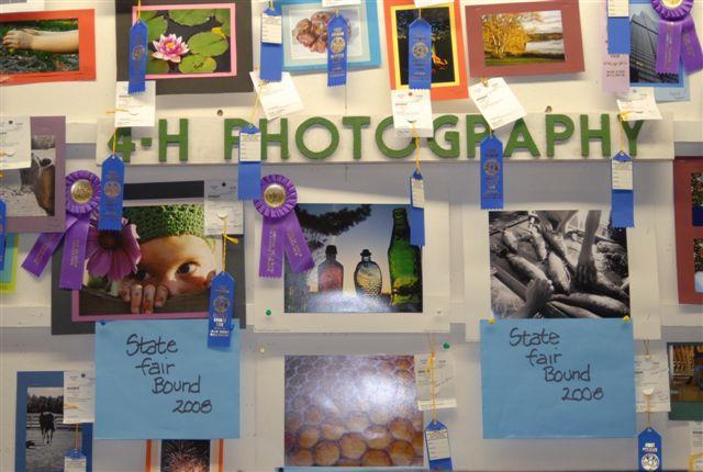 Our Top 5 Projects by Enrollment 1. Photography 2. Foods and Nutrition 3.