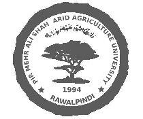 Pir Mehr Ali Shah Arid Agriculture University, Rawalpindi Self Assessment Report for MIT University Institute of Information Technology